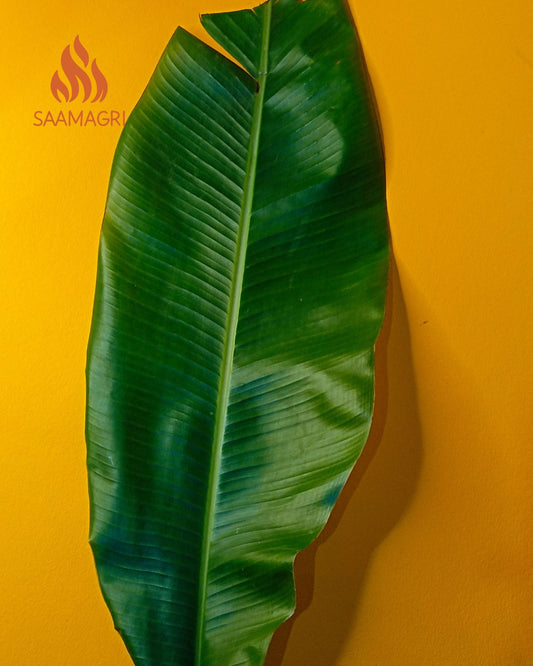 Banana Leaf (केले का पत्ता) kele ka patta 1 pcs