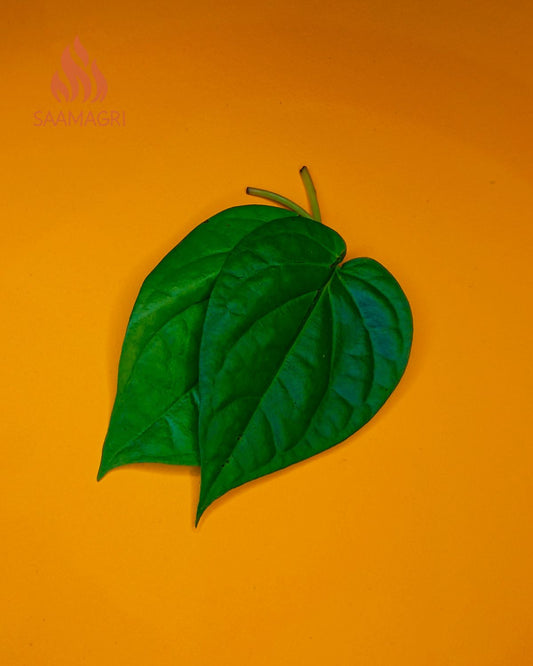 Betel leaf (पान का पत्ता) Paan ka Patta for Puja