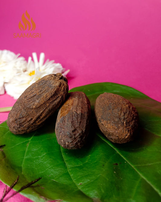 Black Jayfal (जायफल) Nutmeg for Puja