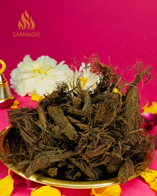 Spikenard (जटामांसी) Jatamansi for Puja