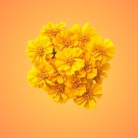 category-banner-slider-images